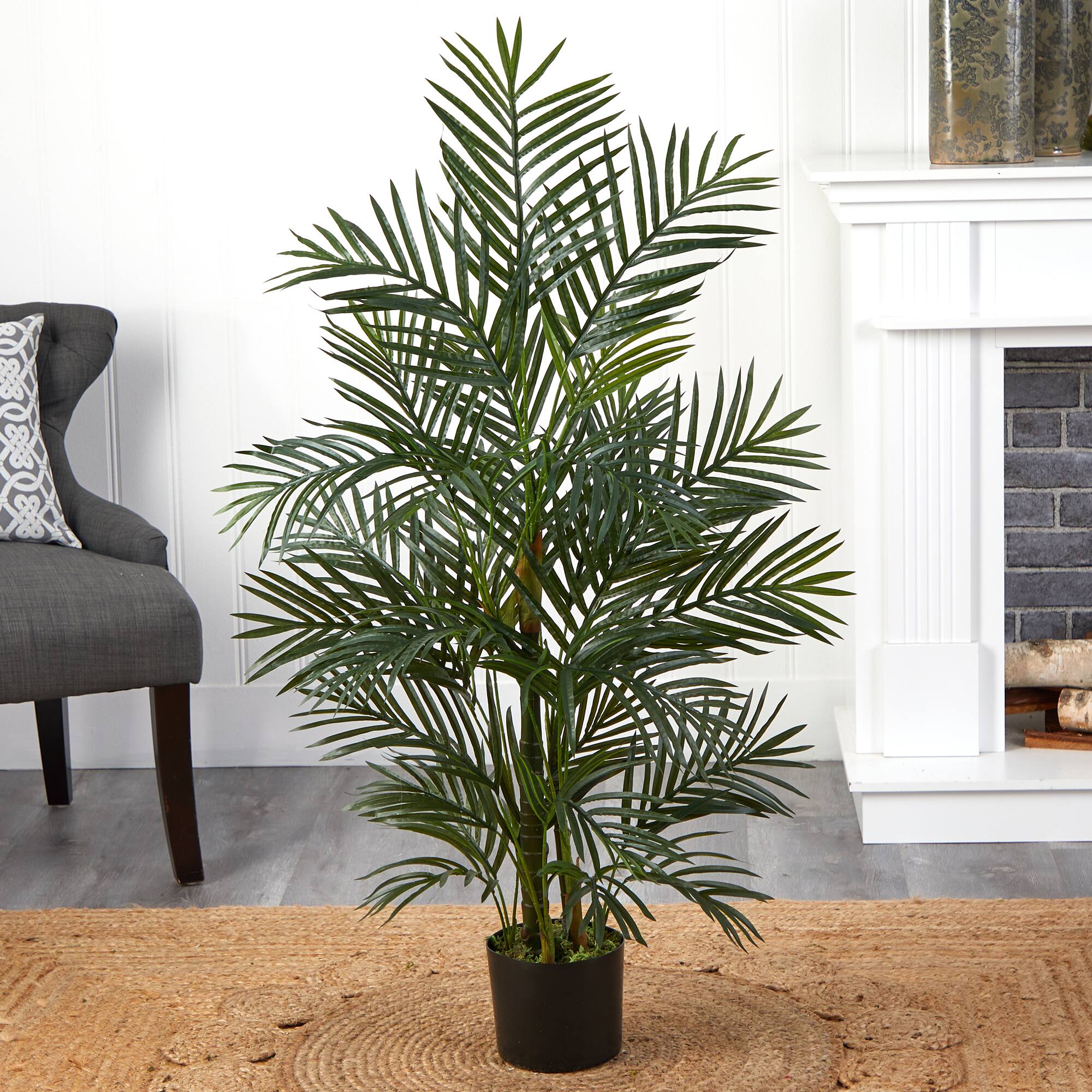 3.5ft. Potted Areca Palm